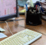 В Омской области получает развитие цифровизация услуг для льготных категорий граждан по оформлению архивных документов БТИ - Министерство имущественных отношений