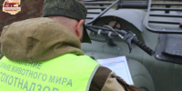 Подведены итоги весенней охоты - Министерство природных ресурсов и экологии