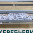 Определена дата проведения жеребьевки на кабана и медведя бурого - Министерство природных ресурсов и экологии