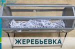 Определена дата проведения жеребьевки на кабана и медведя бурого