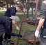 Привели в порядок сквер - ТОС Омска
