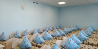 В будущем микрорайоне на 7,5 тысяч квартир начали строить детский сад на 290 мест - СуперОмск