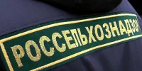 Импорт растительной продукции увеличился в 6 раз - Комсомольская Правда