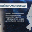 В Омске рассказали о проекте «Сибирский Кроманьонец» - ГТРК Иртыш