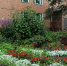 Депутат Анна Степаненко оказала содействие в проведении конкурса по благоустройству города «Милый сердцу уголок» - Городской Совет