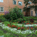 Депутат Анна Степаненко оказала содействие в проведении конкурса по благоустройству города «Милый сердцу уголок»