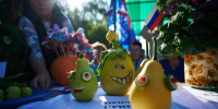 Кабачки не нужны? Излишки дачных мемов примет Большереченский зоопарк - ИА Омск здесь