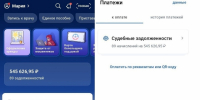 На имя маленькой омички Арины Захаровой пришло еще 89 долгов из разных регионов России - ИА Омскрегион