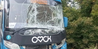 В Омске столкнулись два пассажирских автобуса: есть пострадавшие - ИА Новый Омск