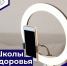 e7e30f2f e42e 4475 98fd 8fc67d34fb93 - БУЗОО НД