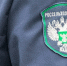 В Омской области выявили недостоверное декларирование 16 тысяч тонн зерна - Комсомольская Правда
