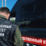В Омской области возбудили дело о нарушении ветеринарных правил - Комсомольская Правда