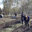 В Омской области проходит акция «Сохраним лес» - ИА Омскрегион
