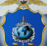 1 - Знак НЦБ Интерпола МВД РФ - УМВД Омской области
