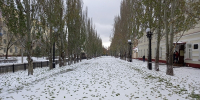 Вслед за снегопадом Омск и область накроет еще одна напасть - СуперОмск