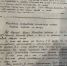 «”Бессмертный полк” вошел в генотип русского народа» — Анастасия Ерахтина - ИА Омскрегион