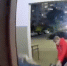 Хозяйка собаки, покусавшей девочку в Омске, высказалась о случившемся - СуперОмск