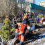 В Омске в Центральном округе продолжается высадка деревьев и кустарников - ГТРК Иртыш