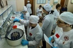 Мастер-класс «Применение игровых технологий на преаналитическом этапе клинических исследований»