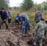 Поисковики разыскивают потомков красноармейца из Омской области Никиты Белкина - ИА Омскрегион
