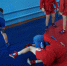img - ЛДПР
