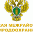 Обновлен порядок осуществления мониторинга пожарной опасности в лесах и лесных пожаров - Главное управление лесного хозяйства