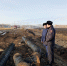Как сейчас выглядит место мощного газового пожара под Омском - СуперОмск