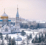 Омская область представила инвестиционный потенциал дипломатам стран ШОС - Пульс Live