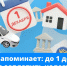 В этом году налоги омичам нужно уплатить до 1 декабря - ГТРК Иртыш
