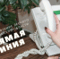 ГУЛХ проведет прямую линию на тему охраны хвойных молодняков - Главное управление лесного хозяйства