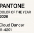 Pantone выбрал «Облачного танцора» — белый оттенок для цвета 2026 года - Om1.Ru