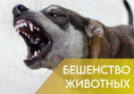 Памятка владельцам животных об ответственности по вакцинации против бешенства