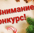 Конкурс на лучшее новогоднее оформление самоуправляемой территории. - ТОС Омска