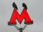 Омичам подтвердили работу над проектами метротрама и метротролла
