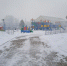 img - ЛДПР