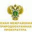 Установлен новый порядок выдачи разрешений на добычу охотничьих ресурсов - Министерство природных ресурсов и экологии