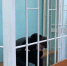 В Омске осудили мужчину за убийство сожительницы после пьяной ссоры - Комсомольская Правда