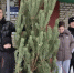 Депутат Андрей Бондаренко организовал серию новогодних мероприятий для жителей округа - Городской Совет