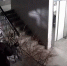 Первый сдался: омичку засняли с елкой со встречи 2025 года - СуперОмск