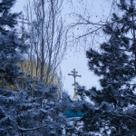 _DSC8261