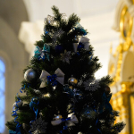 _DSC8457(1)