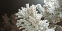 Морозы до -36 °C: в Омской области похолодает очень надолго - СуперОмск