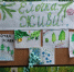 Школьные лесничества Омской области провели акцию «Ёлочка, живи!» - 12 канал