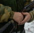 Омский охотник поехал за волком, но пристрелил двух косуль - Комсомольская Правда