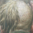 2026-01-15 13.04.14.HEIC - Епархия