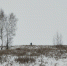 В Омск приходят крепкие морозы - СуперОмск