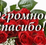 Вы молодцы! - ТОС Омска