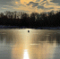 У омского общества охотников с базами и магазинами упала прибыль - СуперОмск