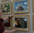 В Омском Союзе журналистов открылась фотовыставка «Моя прекрасная дама» - ИА Омскрегион