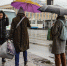 В Омской области ожидаются дождливые выходные - ИА Новый Омск